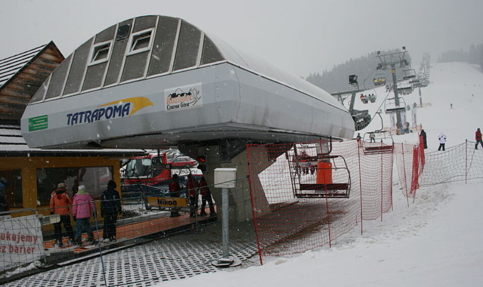 Koziniec w Czarnej Górze