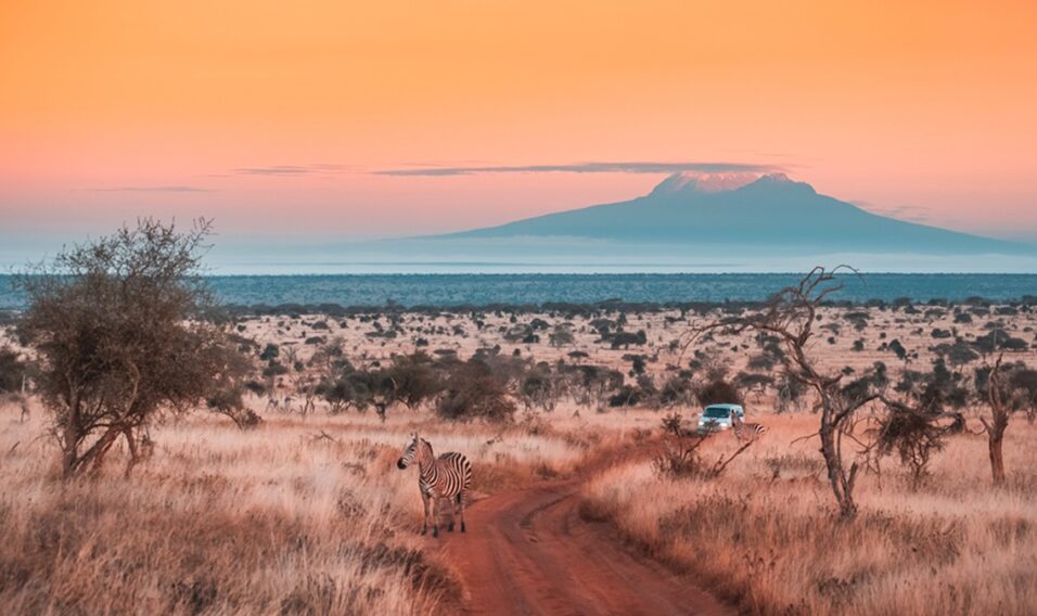 Safari i rajskie plaże? W tym kraju to możliwe