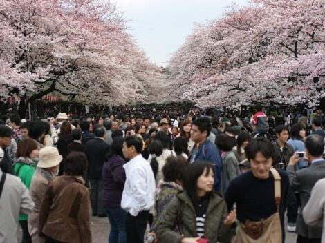 Park Ueno