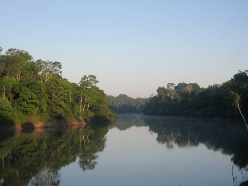 Amazonia