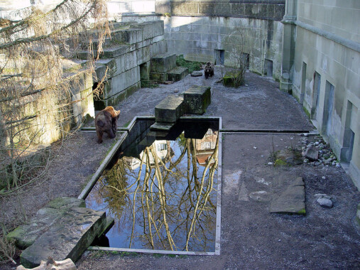 Bärengraben – Niedźwiedzie jamy w Bernie