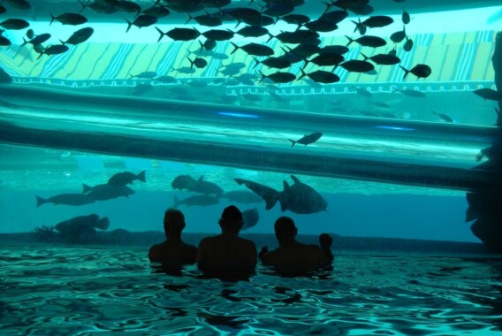 Basen w hotelu Golden Nugget Las Vegas