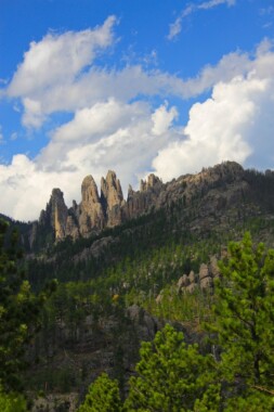 Black Hills