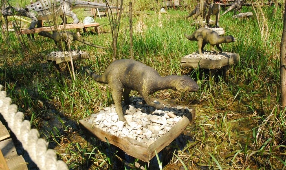 Dinozatorland w Zatorze