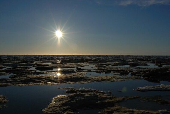 Dzień polarny w Barrow