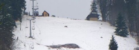 Góra Dzikowiec – Boguszów – Gorce