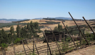 Góra Entoto