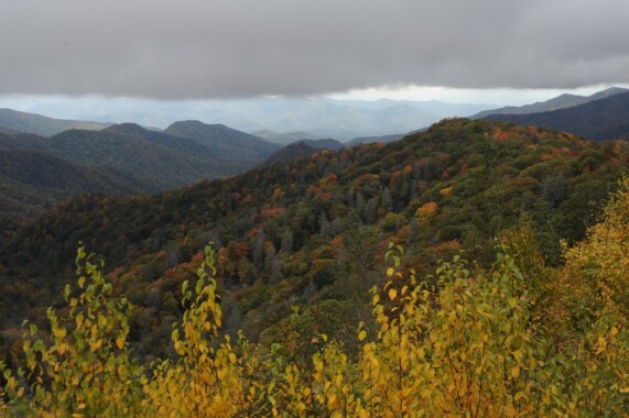 Great Smoky Mountains National Park