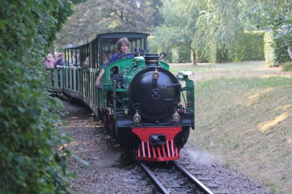 Grosser Garten w Dreźnie