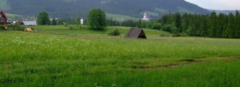 Gubałówka i Butorowy Wierch