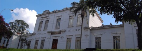 Instytut Butantan