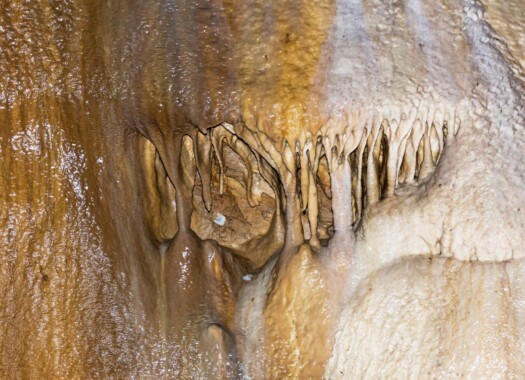 Jaskinia Niedźwiedzia