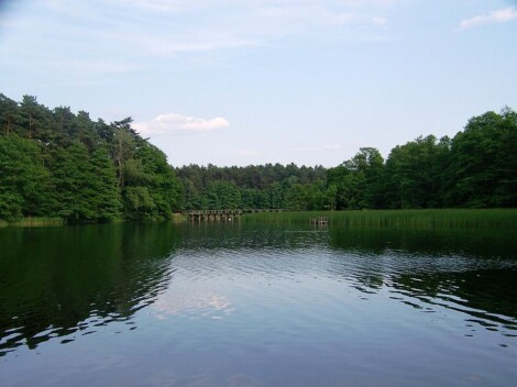 Drawieński Park Narodowy