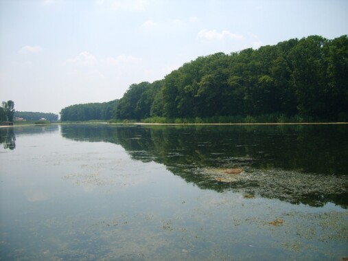 Jezioro Snagov
