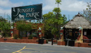 Jungle Park