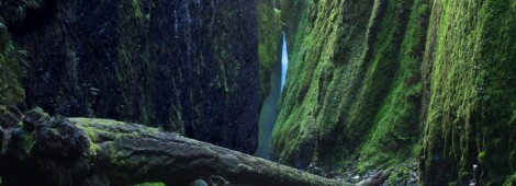 Oregon