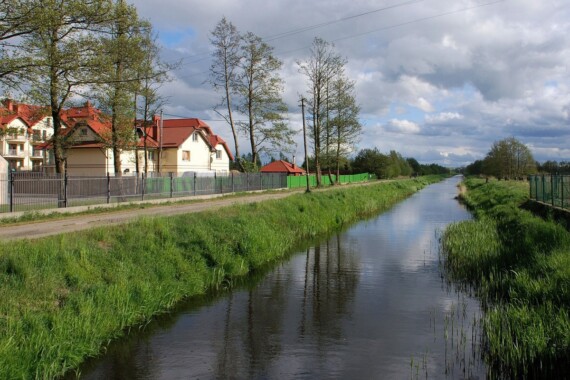 Karwia