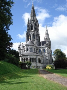 Katedra św. Findbara w Cork