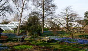 Kew Gardens