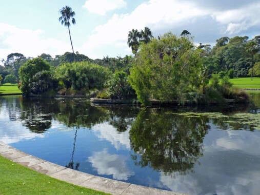 Królewski Ogród Botaniczny w Sydney