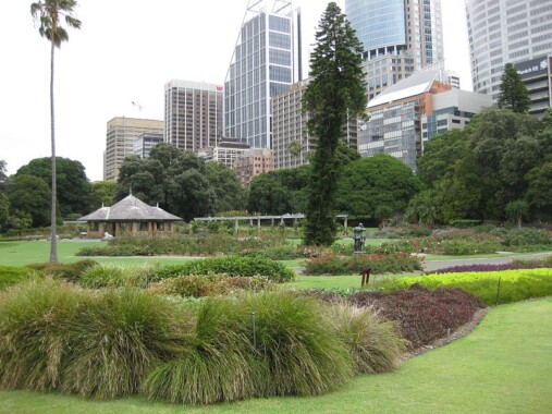 Królewski Ogród Botaniczny w Sydney