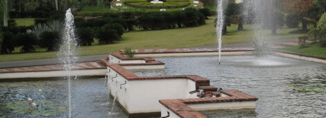 Ogród Botaniczny w Santo Domingo