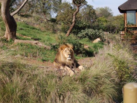 National Zoological Gardens of South Africa