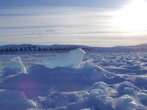 Lód morski u wybrzeży wyspy Edge’a