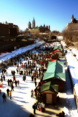 Lodowisko na Kanale Rideau