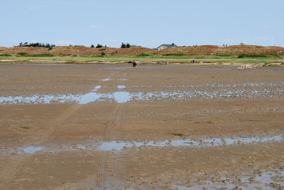 Morze Wattowe na wyspie Mandø