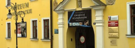 Muzeum Podkarpackie w Krośnie