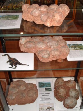 Muzeum Ziemi w Kletnie