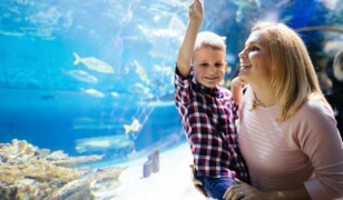 Oceanarium Międzyzdroje