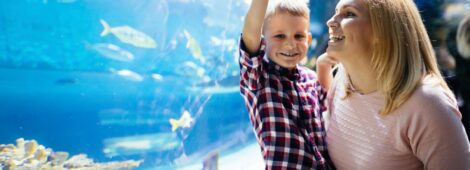 Oceanarium Międzyzdroje