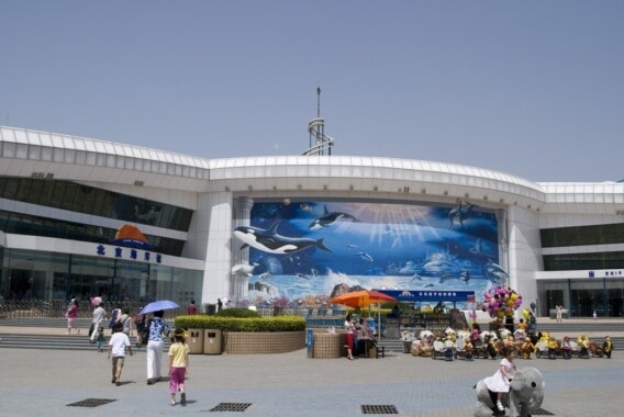 Oceanarium na terenie Ogrodu Zoologicznego w Pekinie