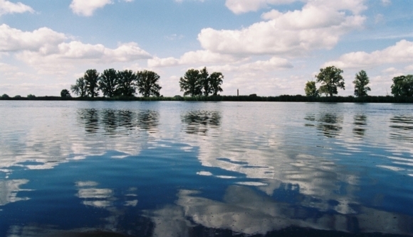Odra w Widuchowej