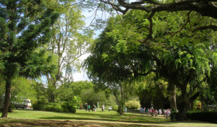 Ogród Botaniczny Dominiki