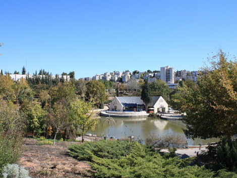 Ogród Botaniczny w Jerozolimie