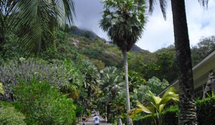 Ogród botaniczny Mont Fleuri