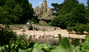 Ogród zoologiczny Hagenbecka