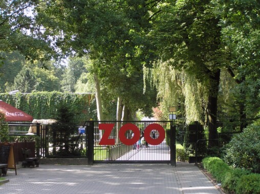 Ogród Zoologiczny w Krakowie