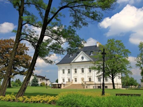 Pałac w Boryni