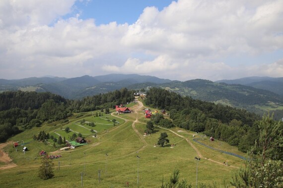 Palenica