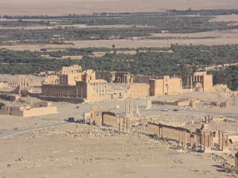 Palmyra