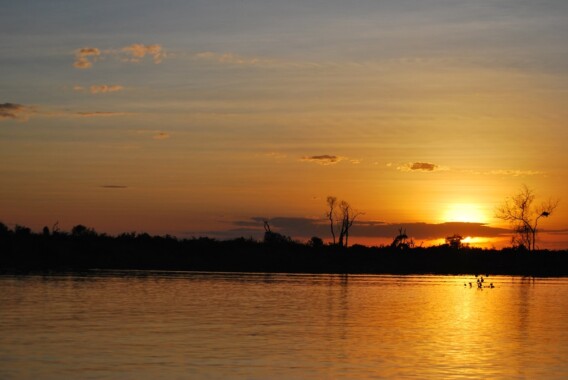 Pantanal