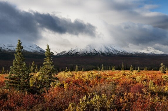 Park Narodowy Denali