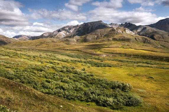 Park Narodowy Denali