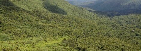 Park Narodowy El Yunque