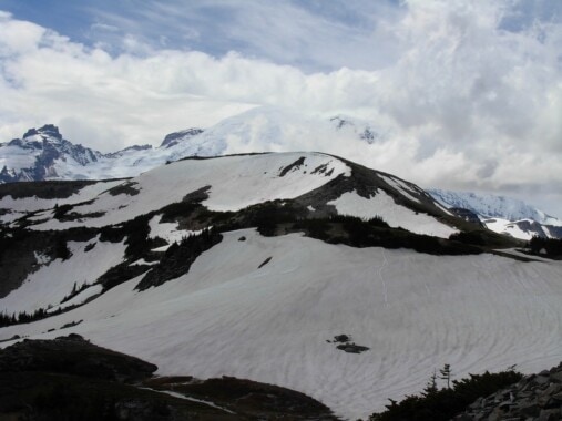 Park Narodowy Mount Rainier