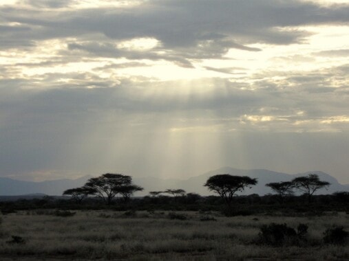 Rezerwat Narodowy Samburu